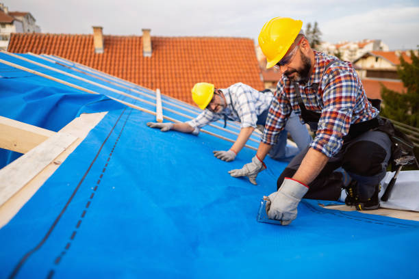 Best Roofing for New Construction  in Round Lake, IL